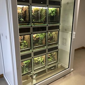 Amphibian terrariums at entrance 150418