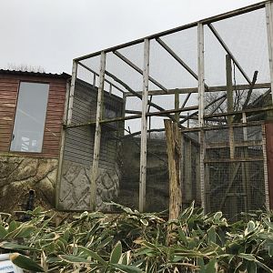 Squirrel monkey enclosure 150418