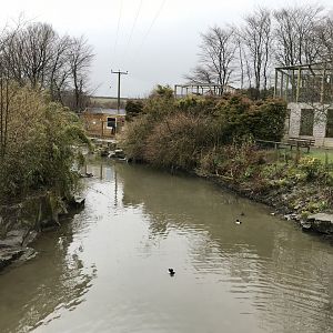 General view of waterfowl area and other enclosures 150418
