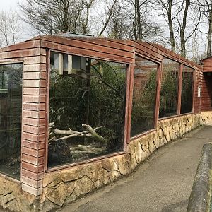 Ground hornbill enclosure 150418