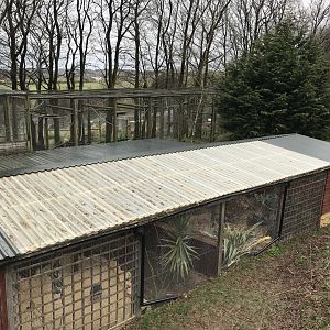 View of gibbon enclosure and aviaries 150418