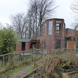 Lemur enclosure 150418