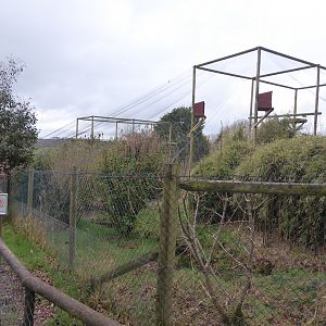 Large wading bird aviaries 150418