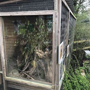 Harvest mouse exhibit 280418