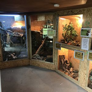 Tropical House 280418