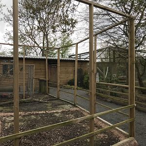 New aviary in development 280418