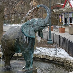 Elephant fountain