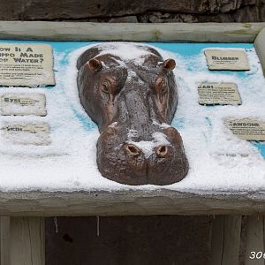 Snow covered hippo sign