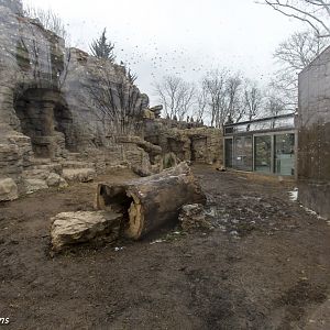 Grizzly Ridge view through middle viewing windows