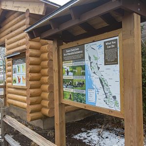 Grizzly Ridge educational content