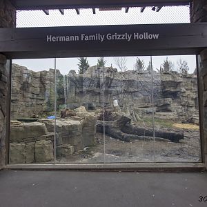 Grizzly Ridge - Grizzly Hollow side of exhibit