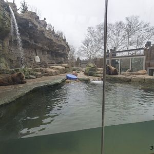 Grizzly Ridge - water viewing area