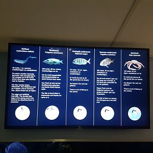 Signs Mediterranean aquarium