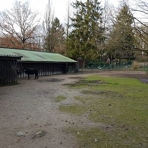 Donkey-enclosure