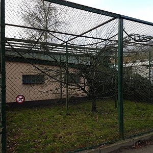 Saki-outdoor enclosure