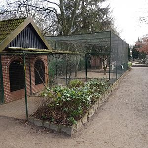 Lovebird - pheasant aviary