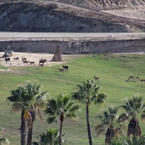 View of African Plains
