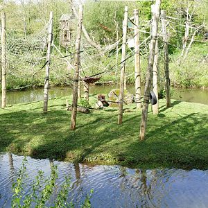 Orangutan Island, May 2018