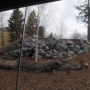 Panda Passage Giant Panda Outdoor Exhibit