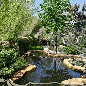 Buffalo aviary - duck pond and visitor path