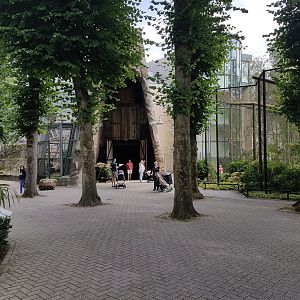 Entrance Gorilla-building