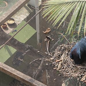 The smallest and the biggest