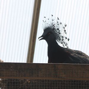 The smallest and the biggest