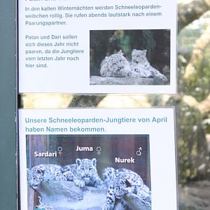 Krefelds Snow leopards