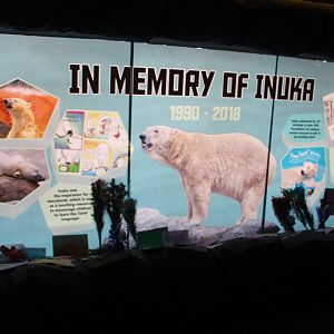 In Memory of Inuka the Polar Bear