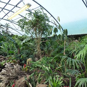 View of Butterfly Walk-through