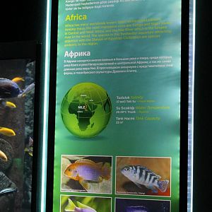 Sign Africa-aquarium