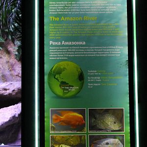 Sign Amazone-aquarium