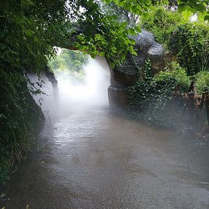 Hey Hannover! I heard you like smoke machines so I got you a smoke machine for your smoke machine.