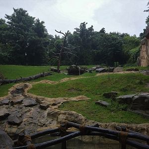 Gorilla Outdoors - Ape House