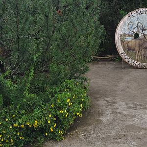 Medallion - North America