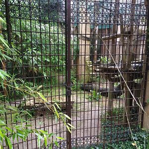 North Chinese Leopard Containment - Asia