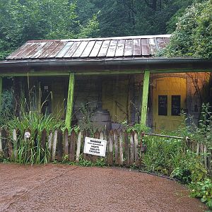 Lorikeet Aviary - Australia