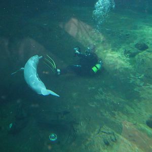 Baby and a photographer