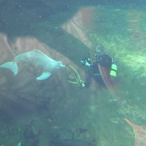 Baby and a photographer