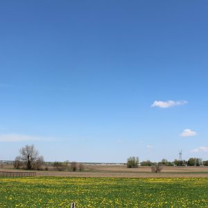 View from the Entrance