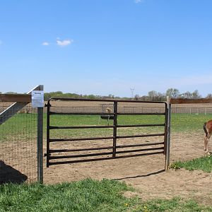 Horse Yard (Before the Entrance)