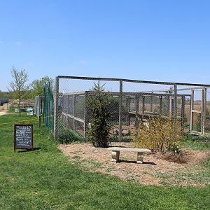 Arctic Wolf Enclosure