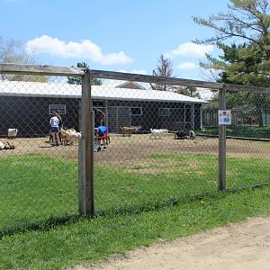 Goat Pen