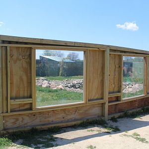 North American river Otter Exhibit