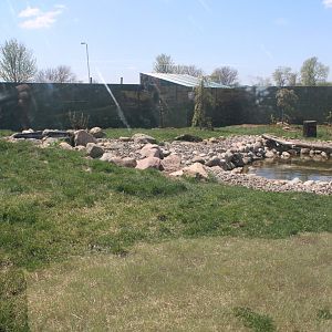 North American River Otter Exhibit