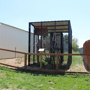 Blue and Yellow Winged Macaw Exhibit