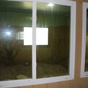 Fennex Fox Exhibit