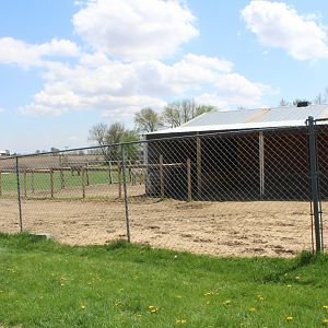 Zebra and Horse Exhibit