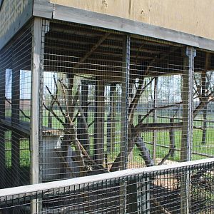 North American Porcipine Exhibit
