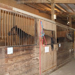 Horse Stables